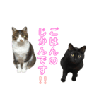 こなるく。（個別スタンプ：28）