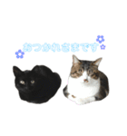 こなるく。（個別スタンプ：30）