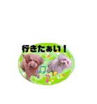 May＆Cocoa4（個別スタンプ：19）
