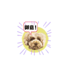 May＆Cocoa4（個別スタンプ：25）
