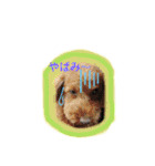 May＆Cocoa4（個別スタンプ：26）