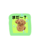 May＆Cocoa4（個別スタンプ：29）