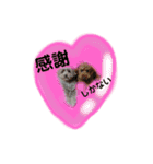 May＆Cocoa4（個別スタンプ：31）