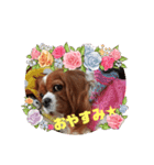 ミリチャリニコ（個別スタンプ：3）
