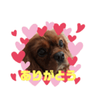 ミリチャリニコ（個別スタンプ：5）