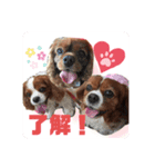 ミリチャリニコ（個別スタンプ：7）