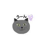 きのこのねこ4（個別スタンプ：2）