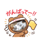 うちのキーちゃん7（個別スタンプ：13）