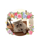うちのキーちゃん7（個別スタンプ：24）