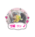 Tyobi6767（個別スタンプ：18）