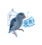 マメルリハブルー「インディくん」（個別スタンプ：4）