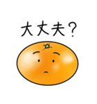 みかんの日常スタンプ‼︎（個別スタンプ：13）