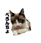 るーにょすたんぷ（個別スタンプ：3）