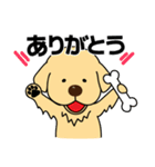 毎日ずんぐりむっくりレトリバー（個別スタンプ：7）