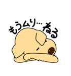 毎日ずんぐりむっくりレトリバー（個別スタンプ：31）