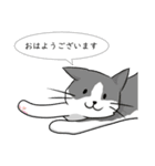 おはよう ★ ねこ（個別スタンプ：2）