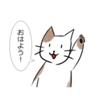 おはよう ★ ねこ（個別スタンプ：4）