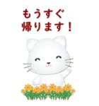 日文大貼圖巧克力大字可愛白貓-常用問候（個別スタンプ：34）
