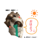 れい君☆スタンプ（個別スタンプ：1）