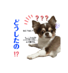 れい君☆スタンプ（個別スタンプ：6）