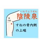 鍼灸師用！下肢陰経ツボ（個別スタンプ：4）