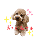 サーシャちゃん 2（個別スタンプ：3）