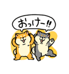 エブリデイ！柴犬！（個別スタンプ：17）