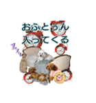 癒しのトイプー ②（個別スタンプ：36）