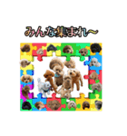 癒しのトイプー ②（個別スタンプ：40）