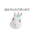 うさぎのあんにん 改（個別スタンプ：23）
