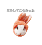 うさぎのあんにん 改（個別スタンプ：31）