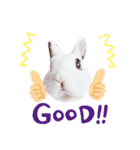 うさぎのあんにん 改（個別スタンプ：39）