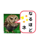 たけしのスタンプ  その18（個別スタンプ：4）