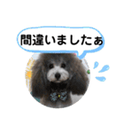 たけしのスタンプ  その18（個別スタンプ：6）
