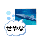 たけしのスタンプ  その18（個別スタンプ：7）