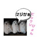 たけしのスタンプ  その18（個別スタンプ：9）