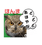 たけしのスタンプ  その18（個別スタンプ：14）