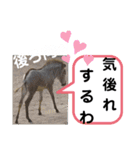 たけしのスタンプ  その18（個別スタンプ：15）