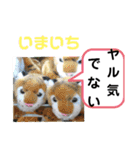 たけしのスタンプ  その18（個別スタンプ：16）