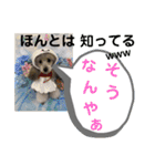 たけしのスタンプ  その18（個別スタンプ：20）