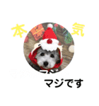 たけしのスタンプ  その18（個別スタンプ：22）