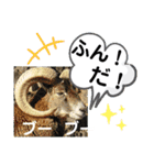 たけしのスタンプ  その18（個別スタンプ：23）