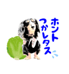 ミニチュアダックスの気ままなランチ22（個別スタンプ：5）