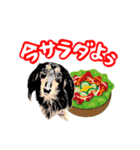ミニチュアダックスの気ままなランチ22（個別スタンプ：8）