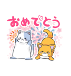 猫とコーギーぽい犬のスタンプ（個別スタンプ：22）