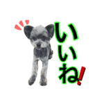 犬と猫の使えるスタンプ（個別スタンプ：8）