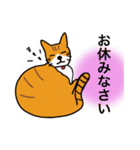 Whiteandtanネコの侘助（個別スタンプ：11）