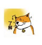 Whiteandtanネコの侘助（個別スタンプ：13）