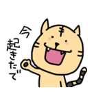 幡多弁を喋るとらねこちゃん（個別スタンプ：1）