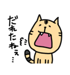 幡多弁を喋るとらねこちゃん（個別スタンプ：3）